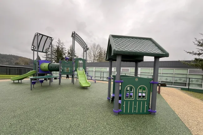 image of playground with slide and playhouse