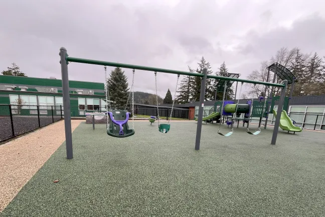 swingset with adaptive swings, belt swings, and bucket swings